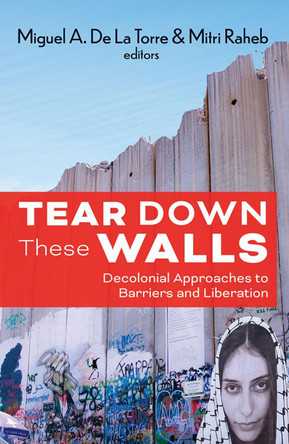 Tear Down These Walls by De La Torre Miguel 9781626986244