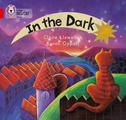 In the Dark: Band 02A/Red A (Collins Big Cat) by Claire Llewellyn 9780007185528