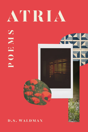 Atria: Poems D. S. Waldman 9781324097266