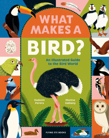 What Makes a Bird?: An Illustrated Guide to the Bird World Nadeem Perera 9781838742065