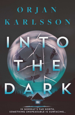 Into The Dark Ørjan Karlsson 9781917764049