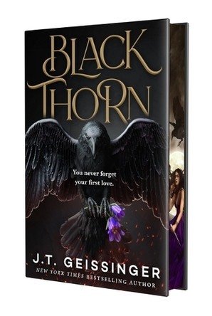 Blackthorn by J T Geissinger 9781250379139