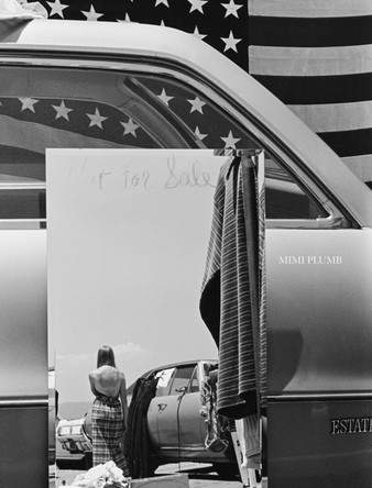 Mimi Plumb: Blazing Light Mimi Plumb 9798890181312