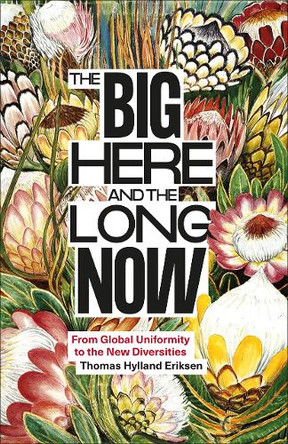 The Big Here and the Long Now: From Global Uniformity to the New Diversities Thomas Hylland Eriksen 9780745352220