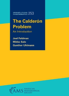 The Calderon Problem: An Introduction Joel Feldman 9780821898840