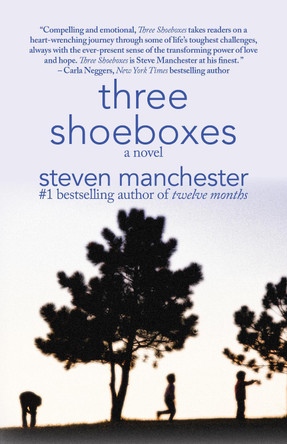 Three Shoeboxes by Steven Manchester 9781611882605