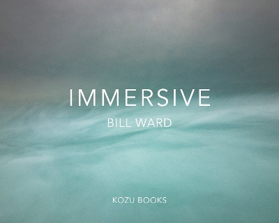 IMMERSIVE By Bill Ward Bill Ward 9781739399092