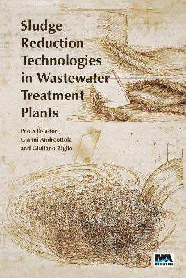 Sludge Reduction Technologies in Wastewater Treatment Plants Paola Foladori 9781789065305