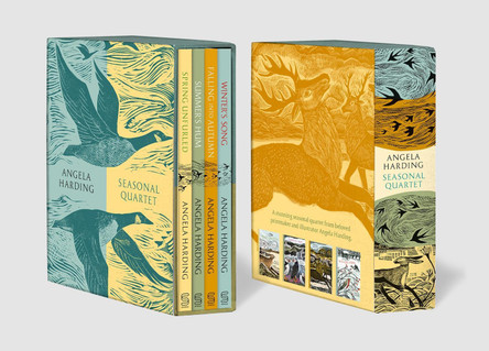 Angela Harding Seasonal Quartet Boxset: Includes Spring Unfurled, Summer’s Hum, Falling into Autumn and Winter’s Song by Angela Harding 9781408725009