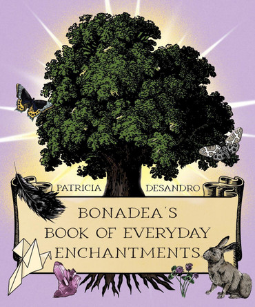 BonaDea's Book of Everyday Enchantments by Patricia deSandro 9781964537481