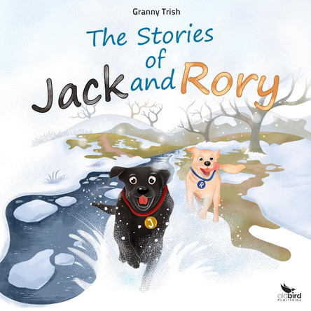 The Stories of Jack and Rory by Granny Trish 9781739848514