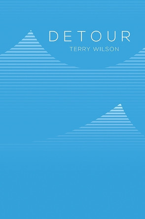 Detour by Terry Wilson 9781037113727
