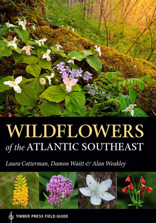 Wildflowers of the Atlantic Southeast by Laura Cotterman 9781604697605
