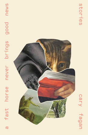 A Fast Horse Never Brings Good News by Cary Fagan 9781771669511