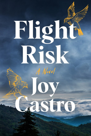 Flight Risk: A Novel by Joy Castro 9781542031929