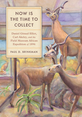 Now Is the Time to Collect: Daniel Giraud Elliot, Carl Akeley, and the Field Museum African Expedition of 1896 by Paul D. Brinkman 9780817361488