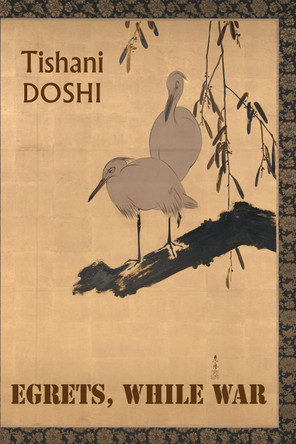 Egrets, While War Tishani Doshi 9781780377896