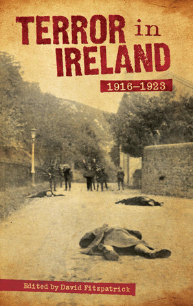 Terror in Ireland: 1916-1923 by David Fitzpatrick 9781843511991