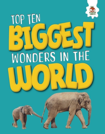 Top Ten Biggest Wonders in the World by John Allan 9781835693384