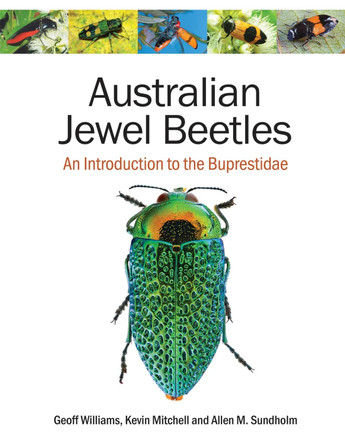 Australian Jewel Beetles: An Introduction to the Buprestidae by Geoff Williams 9781486317400