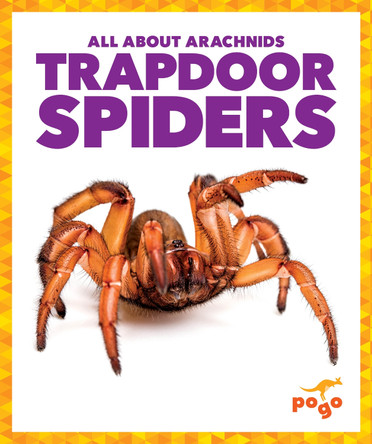 Trapdoor Spiders by Becca Becker 9798892136242