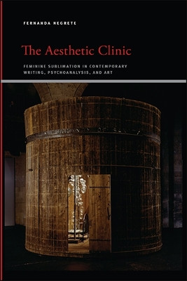 The Aesthetic Clinic by Fernanda Negrete 9781438480206