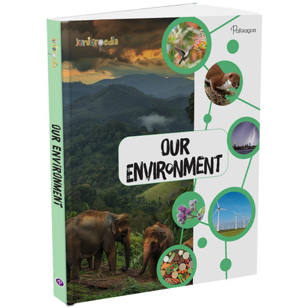 Our Environment 9788119974641