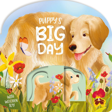 Puppy's Big Day 9781837952700