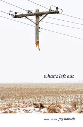 What's Left Out by Jay Baruch 9781606352335