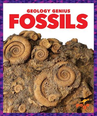 Fossils by Rebecca Pettiford 9781624968280