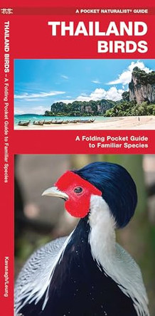 Thailand Birds: A Folding Pocket Guide to Familiar Species by James Kavanagh 9781620052778