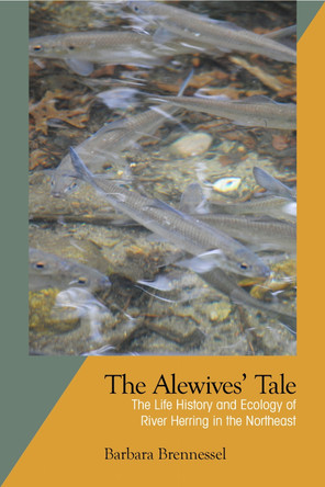 The Alewives Tale: The Life History and Ecology of River Herring in the Northeast by Barbara Brennessel 9781625341051