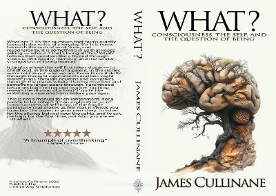 What?: Consciousness, the Self, and the Question of Being by James Cullinane 9781919400105