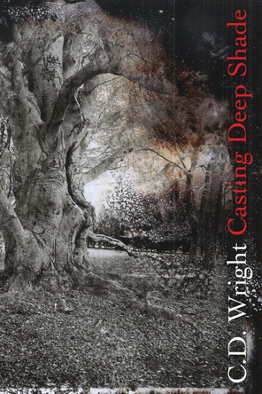 Casting Deep Shade: An Amble by C D Wright 9781556595486