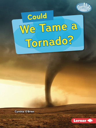 Could We Tame a Tornado? by Cynthia O'Brien 9798348029159