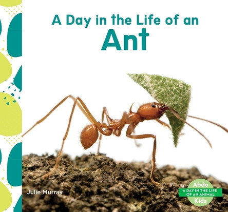 Day in the Life of an Ant by Julie Murray 9798384907336