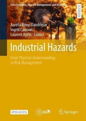 Industrial Hazards: From Physical Understanding to Risk Management Aurélia Bony-Dandrieux 9783032148957