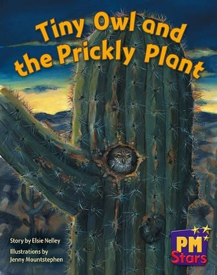 Tiny Owl and Prickly Plant by Elsie Nelley 9780170193870