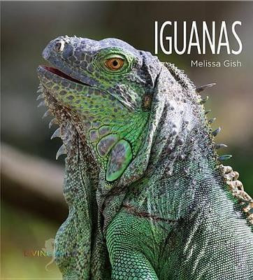 Iguanas by Melissa Gish 9781628321685