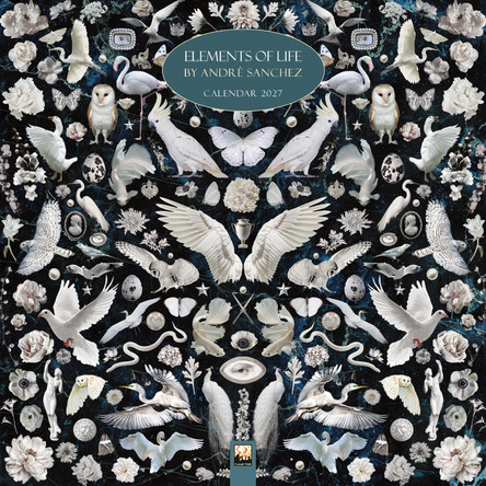 André Sanchez Wall Calendar 2027 (Art Calendar) Flame Tree Studio 9781806940738