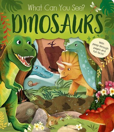 What Can You See? Dinosaurs Dee Costello 9781801048330
