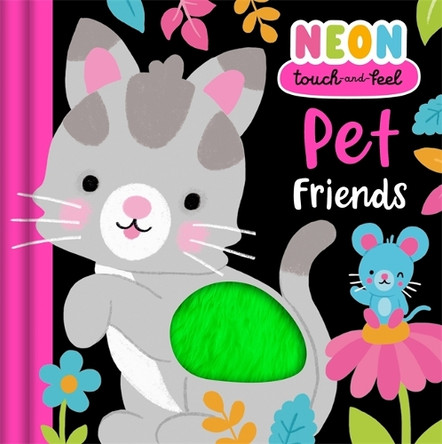 Pet Friends Igloo Books Ltd 9781805850793