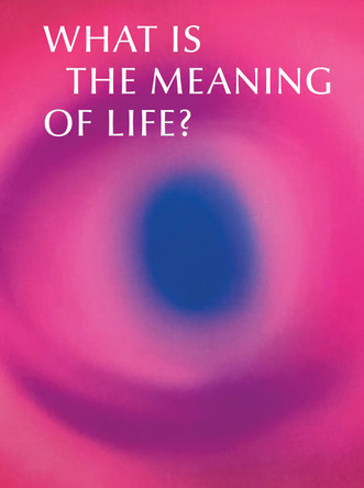 What is the Meaning of Life?: Making and Breaking the Rules We Live By Tania Moore 9781836360438