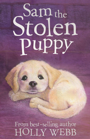 Sam the Stolen Puppy by Holly Webb 9781847150417