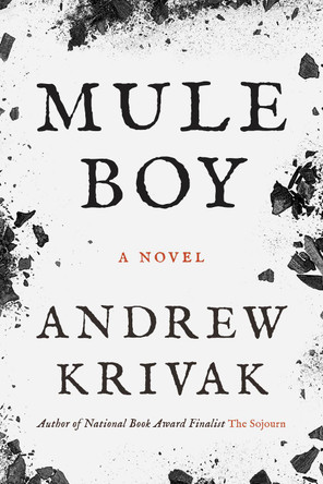 Mule Boy by Andrew Krivak 9781954276468