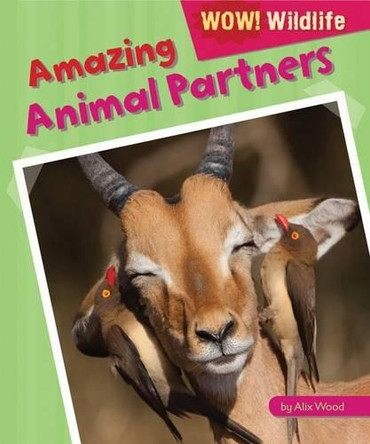 Amazing Animal Partners by Alix Wood 9781448881017