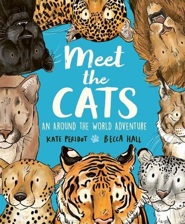 Meet the Cats by Welbeck Children's Books 9781804535714