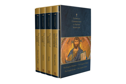 Four Gospels Deluxe Boxed Set: Catholic Commentary on Sacred Scripture by Peter S Williamson 9781540963789