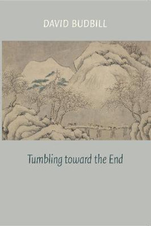Tumbling Toward the End by David Budbill