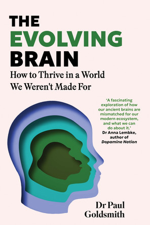 The Evolving Brain: How to Thrive in a World We Weren't Made For by Dr Paul Goldsmith 9781035426461
